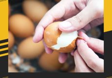 علت ترک خوردن تخم مرغ آب پز و راه های جلوگیری از آن را یاد بگیر