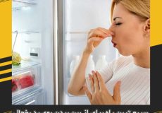 سریع ترین راه برای از بین بردن بوی بد یخچال