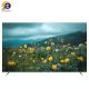 تلویزیون ۷۵ اینچ هوشمند QLED هوریون مدل H-75QU9305