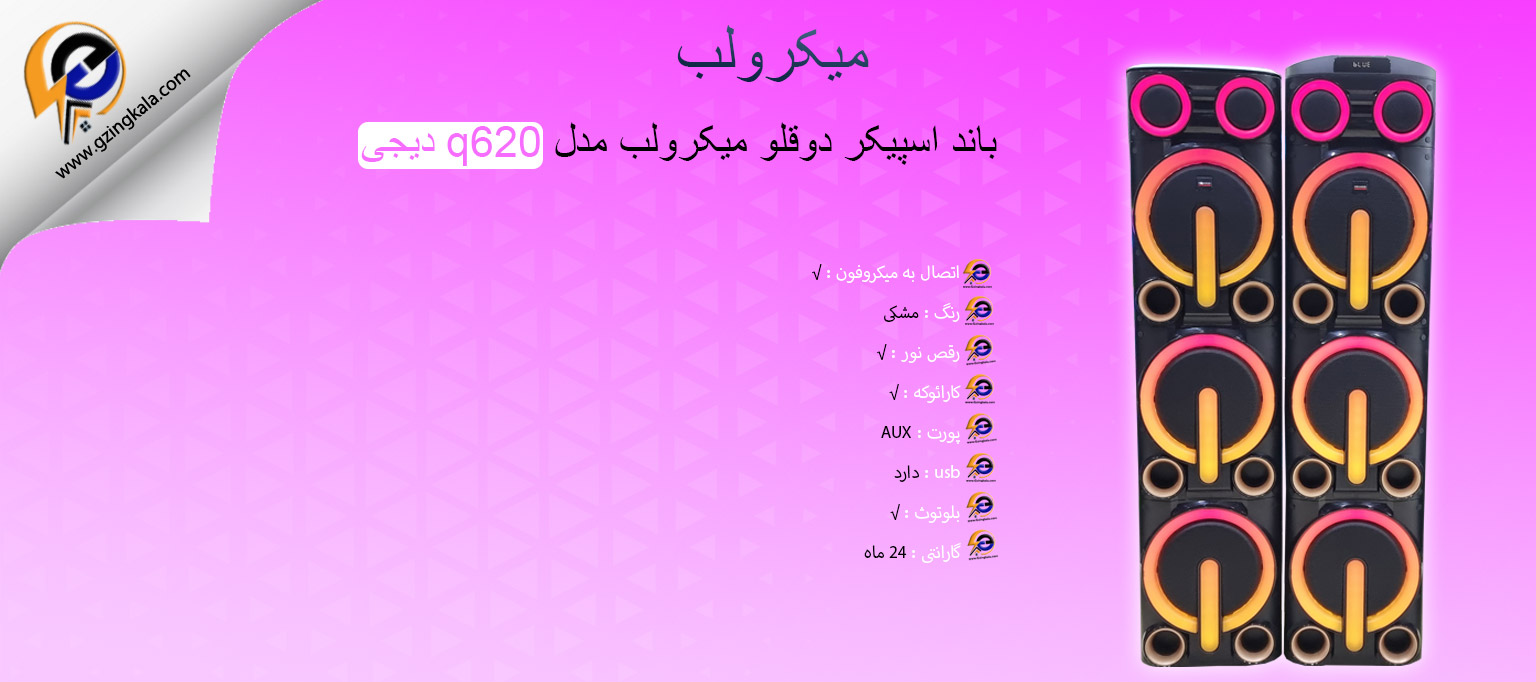 باند اسپیکر دوقلو میکرولب مدل q620 دیجی